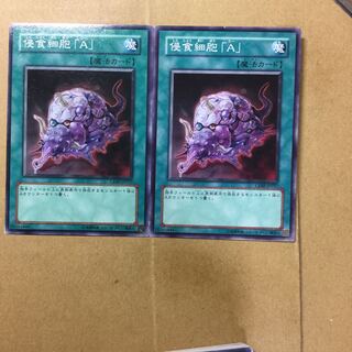 侵食細胞「A」　２枚