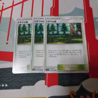 トキワの森　3枚セット