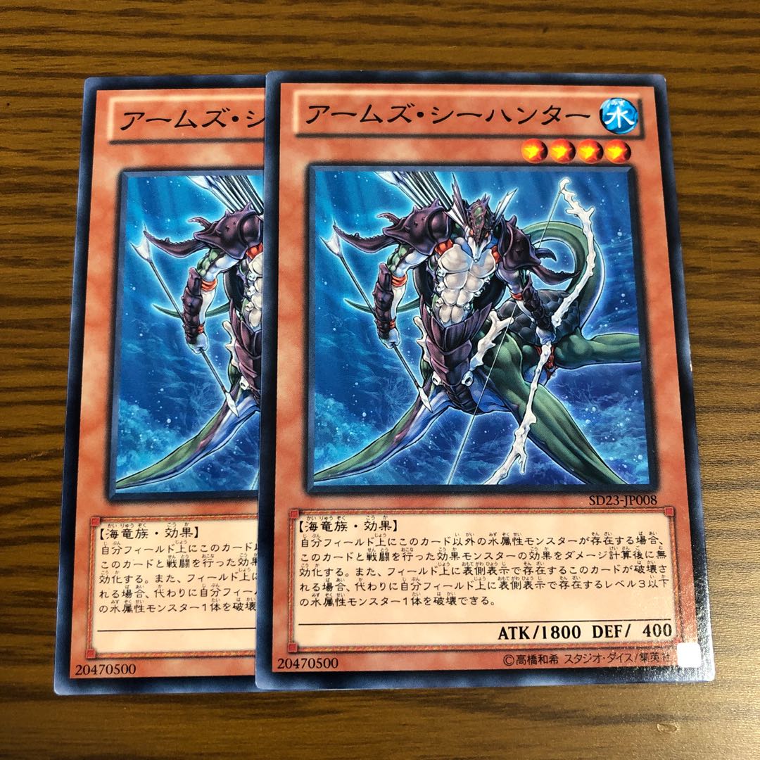 Armed Sea Hunter Normal