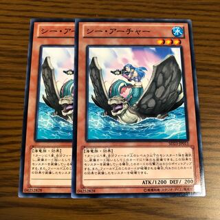 シー・アーチャー ノーマル