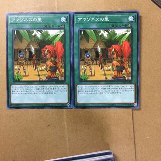 アマゾネスの里　２枚