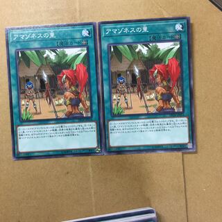 アマゾネスの里　２枚