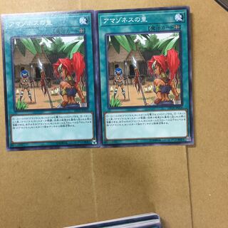 アマゾネスの里　２枚