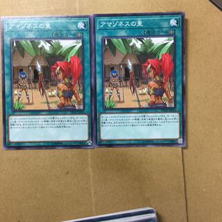 アマゾネスの里　２枚