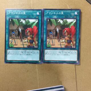 アマゾネスの里　２枚