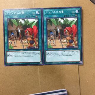 アマゾネスの里　２枚