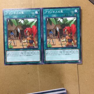 アマゾネスの里　２枚