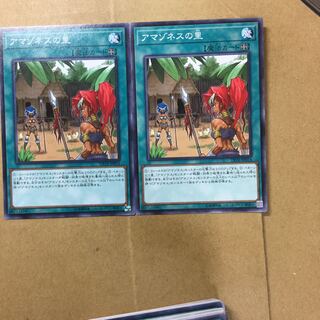 アマゾネスの里　２枚