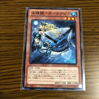 Water Seiryo - Okeabis Normal