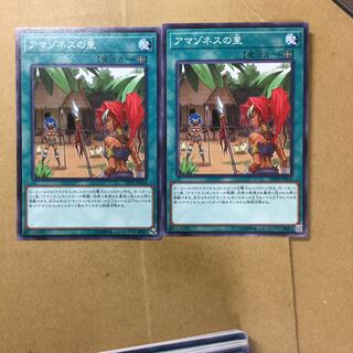 アマゾネスの里　２枚