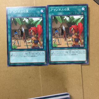 アマゾネスの里　２枚