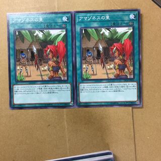 アマゾネスの里　２枚