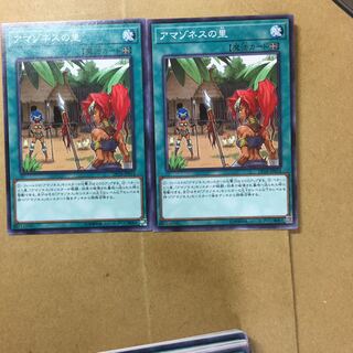 アマゾネスの里　２枚