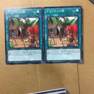 アマゾネスの里　２枚