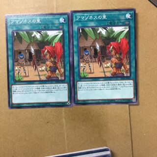 アマゾネスの里　２枚