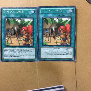 アマゾネスの里　２枚