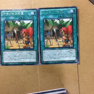 アマゾネスの里　２枚