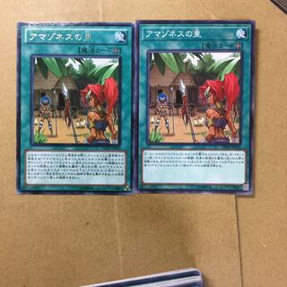 アマゾネスの里　２枚