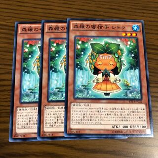 Sylvan Mikorange Normal