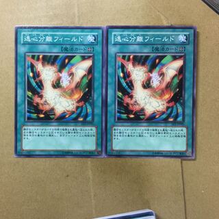 遠心分離フィールド　２枚