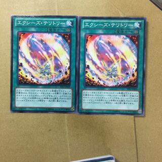 エクシーズ・テリトリー　２枚