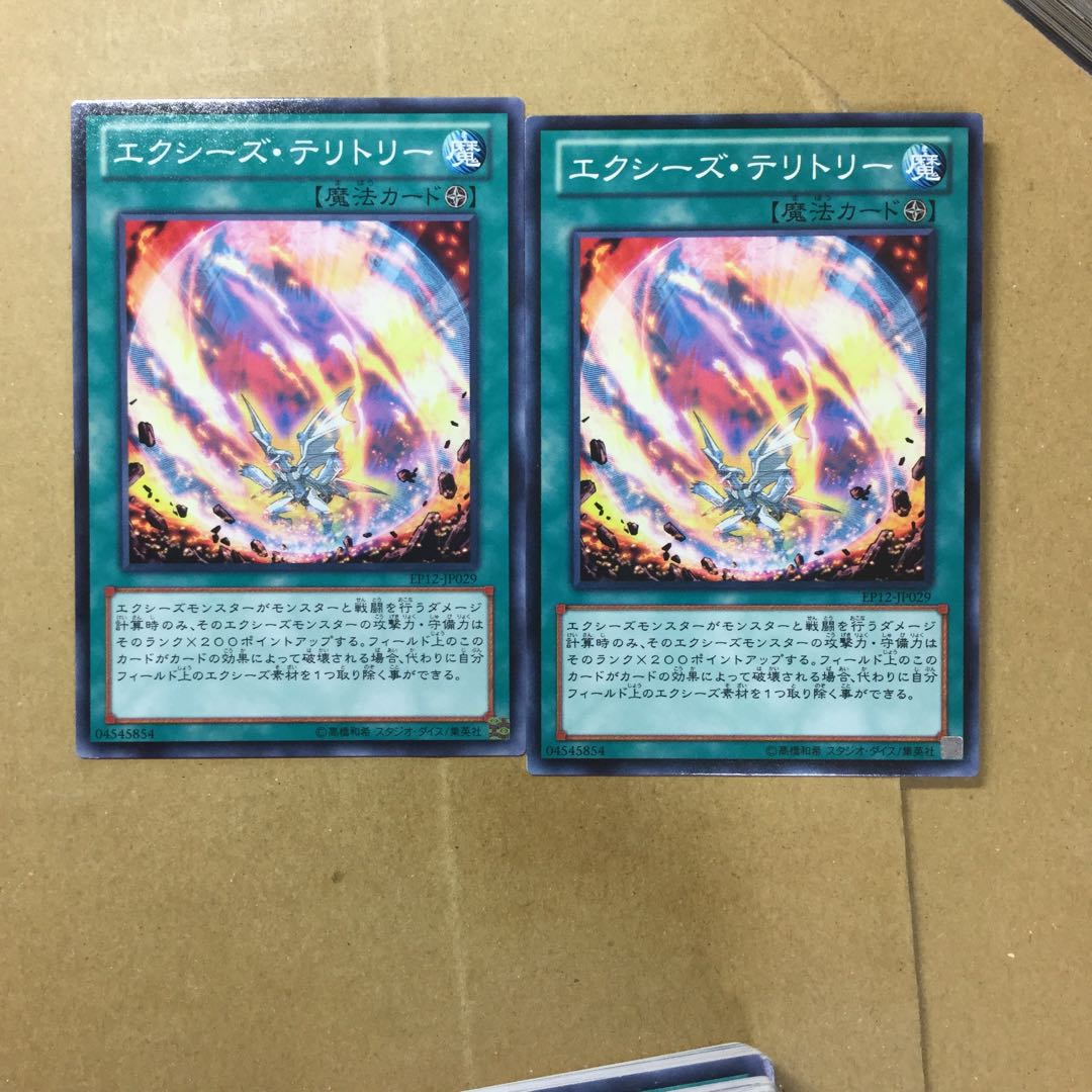 エクシーズ・テリトリー　２枚