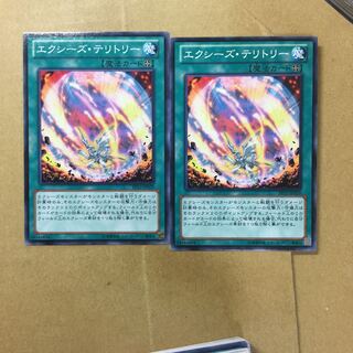 エクシーズ・テリトリー　２枚