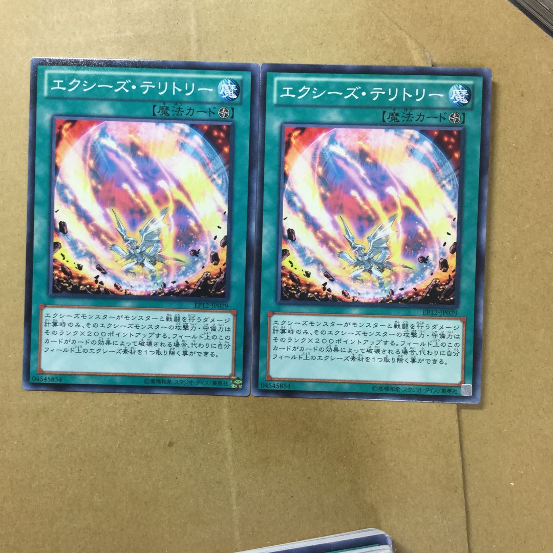 エクシーズ・テリトリー　２枚