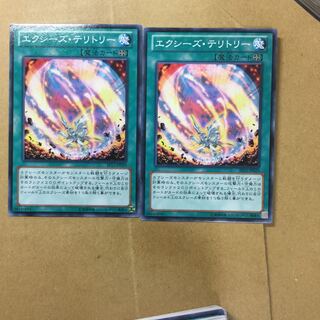 エクシーズ・テリトリー　２枚