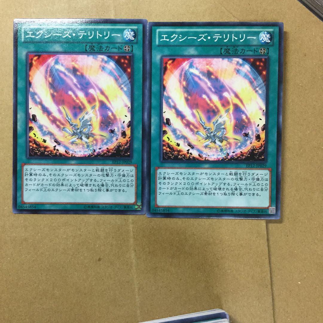 エクシーズ・テリトリー　２枚