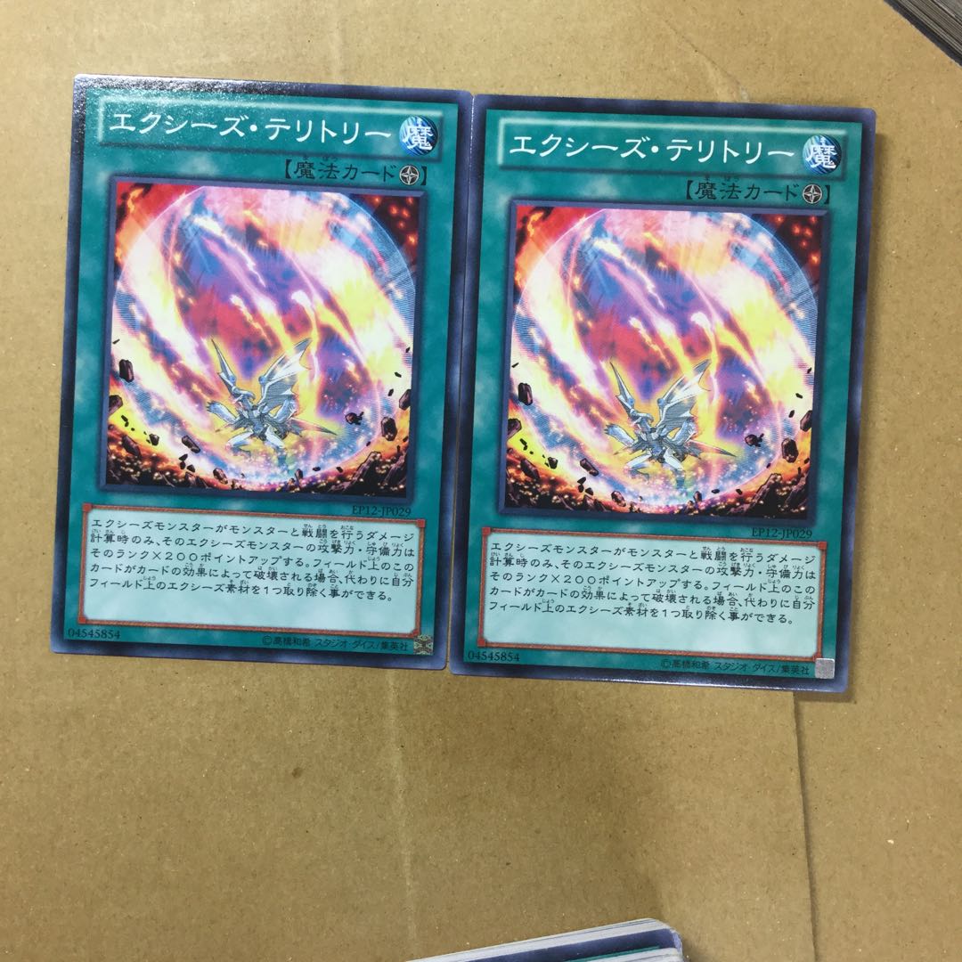 エクシーズ・テリトリー　２枚