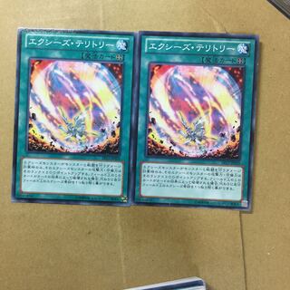 エクシーズ・テリトリー　２枚