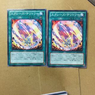 エクシーズ・テリトリー　２枚