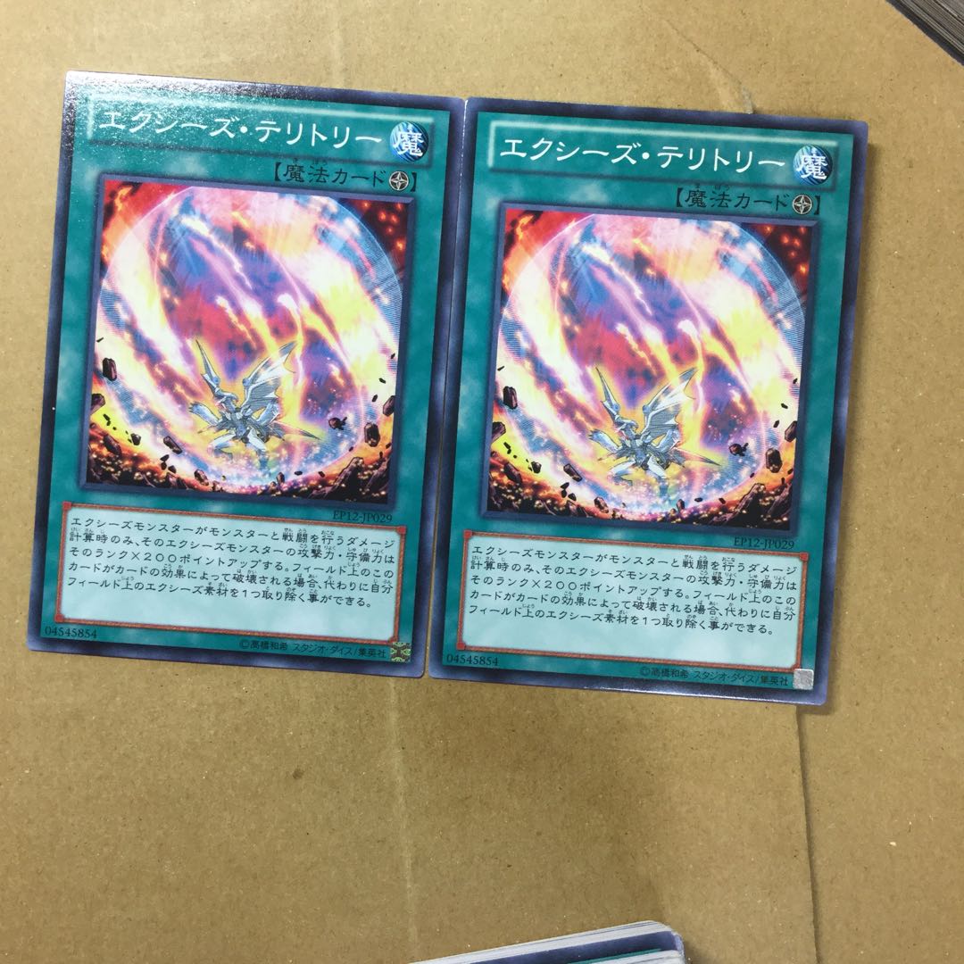 エクシーズ・テリトリー　２枚