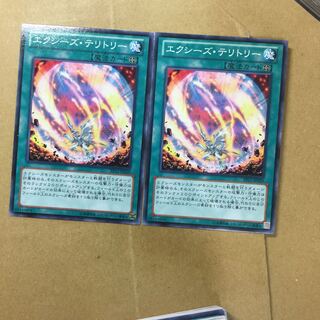 エクシーズ・テリトリー　２枚