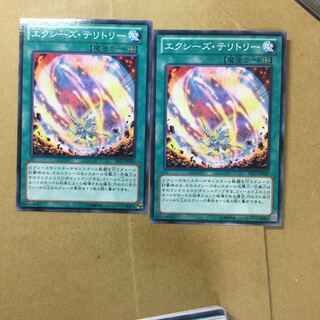 エクシーズ・テリトリー　２枚