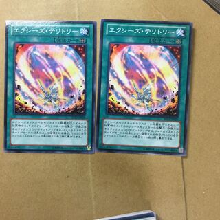 エクシーズ・テリトリー　２枚