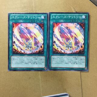 エクシーズ・テリトリー　２枚