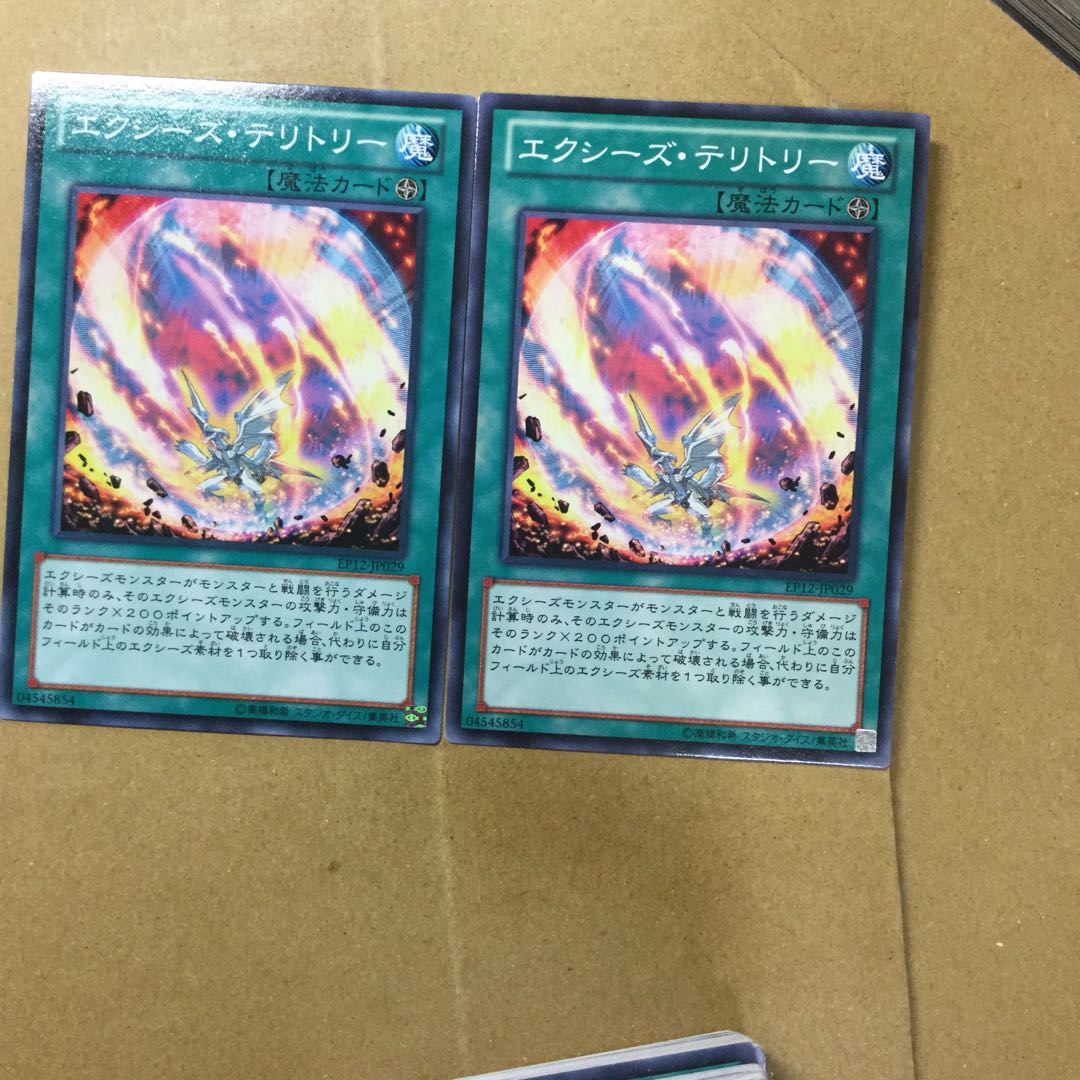 エクシーズ・テリトリー　２枚
