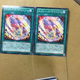 エクシーズ・テリトリー　２枚
