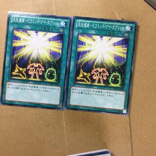 先史遺産-ピラミッド・アイ・タブレット　２枚