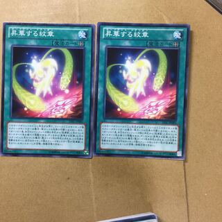 昇華する紋章　２枚