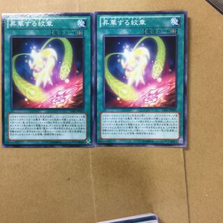 昇華する紋章　２枚