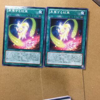 昇華する紋章　２枚