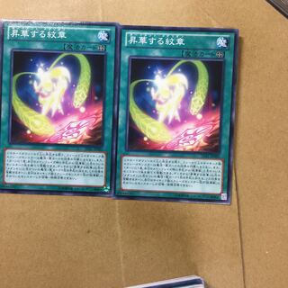 昇華する紋章　２枚