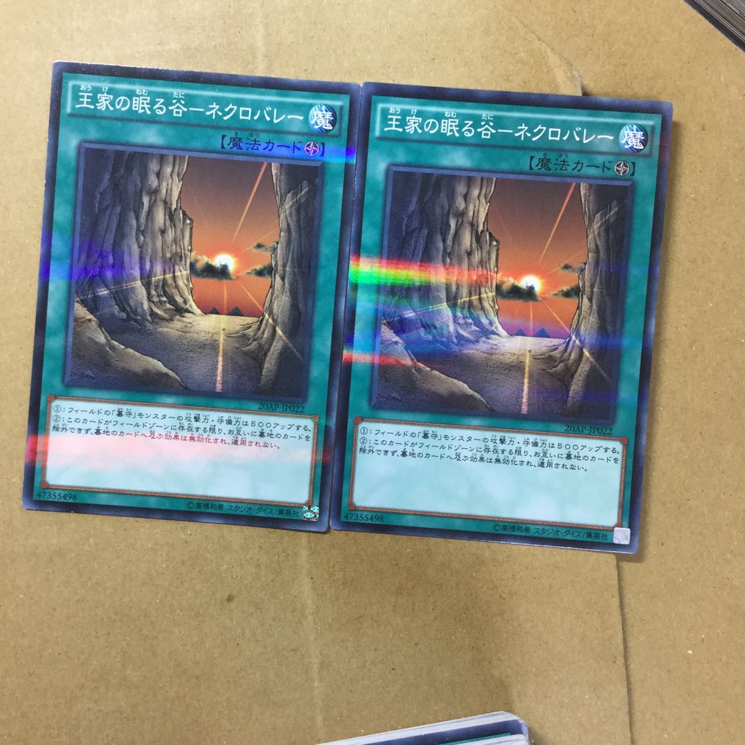 Valley of Sleep of Kings - Necro Valley 2 sheets