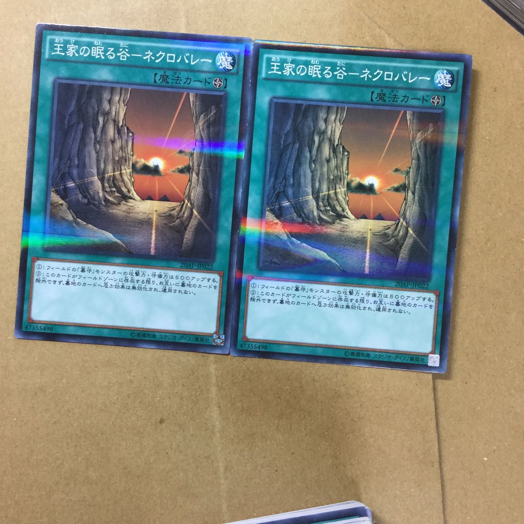 王家の眠る谷-ネクロバレー　２枚