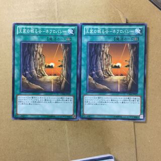 Valley of Sleep of Kings - Necrovalley 2 sheets