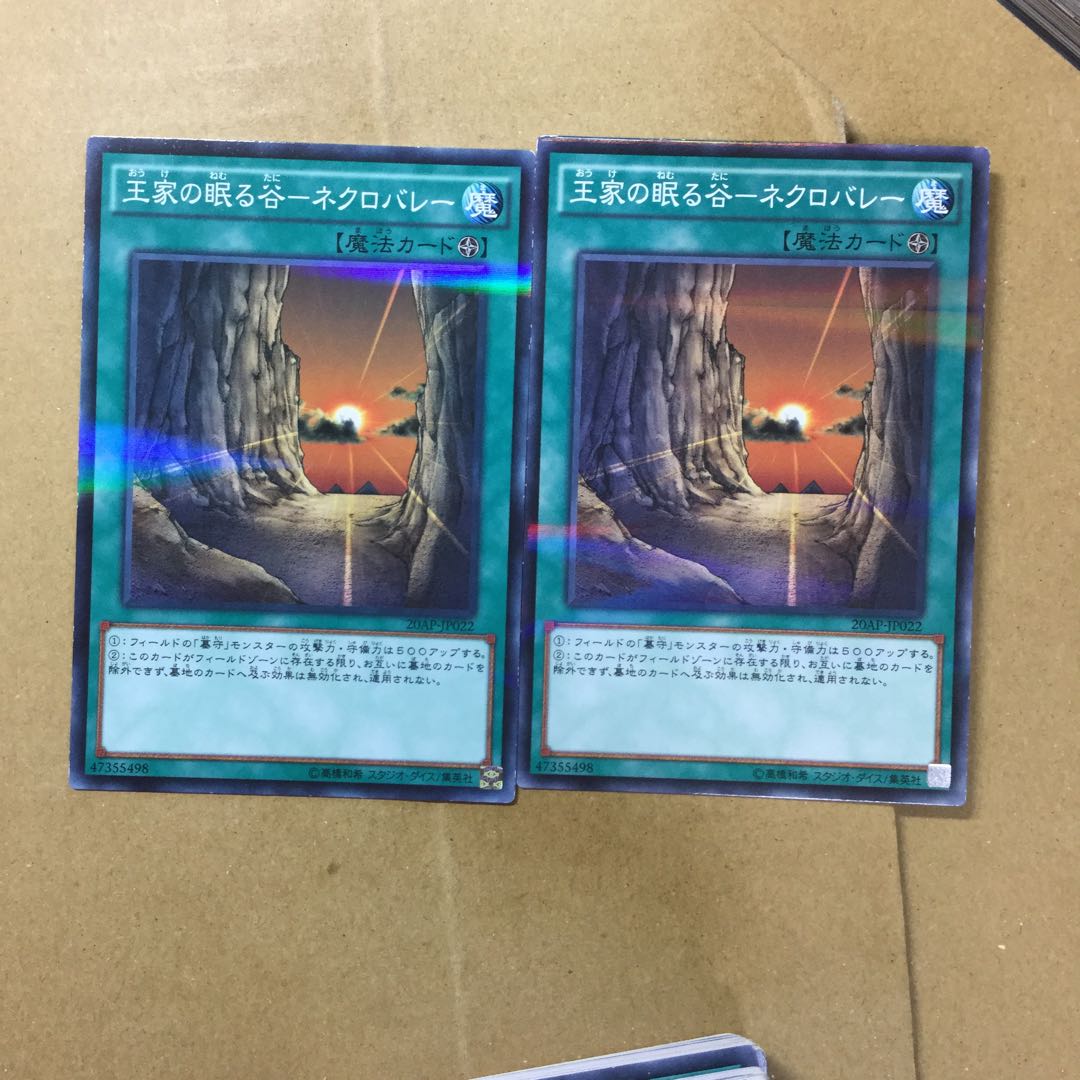 Valley of Sleep of Kings - Necrovalley 2 sheets