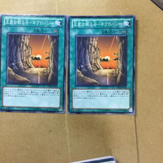 王家の眠る谷-ネクロバレー　２枚